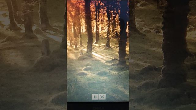 Amoghasiddhi mantra смотреть онлайн