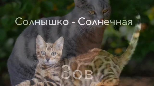 Персонажи книги "Путь к Солнцу " #1 смотреть онлайн