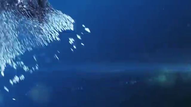 Путешествие по побережью Азовского моря. 2014 HDTVRip смотреть онлайн