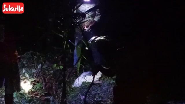 THE OBEDIENT PYTHON #16 смотреть онлайн