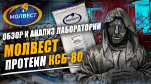 Молвест Протеин Воронеж | Protein | Разоблачитель | Отзыв | Анализ | Состав | Стоит ли купить