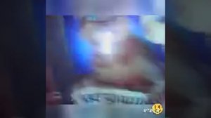 Обзор моих книг "Коты-Воители"