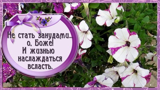 Мы не становимся моложе...Красивые стихи о жизни. Современная поэзия смотреть онлайн