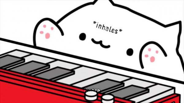 Bongo cat LETS GO 1 Час
