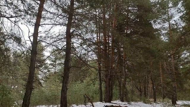 22 февраля- праздник День Валентины. Лаптев день. Запреты дня. Народные приметы и традиции. смотреть онлайн