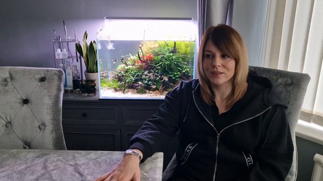 10 Best Plants for a Low Tech/No CO2 Aquascapes - Easy Aquarium Plants for Beginners смотреть онлайн