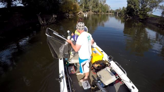 Casting Lures In the Murrumbidgee River Is The Best Way To Catch Murray Cod смотреть онлайн