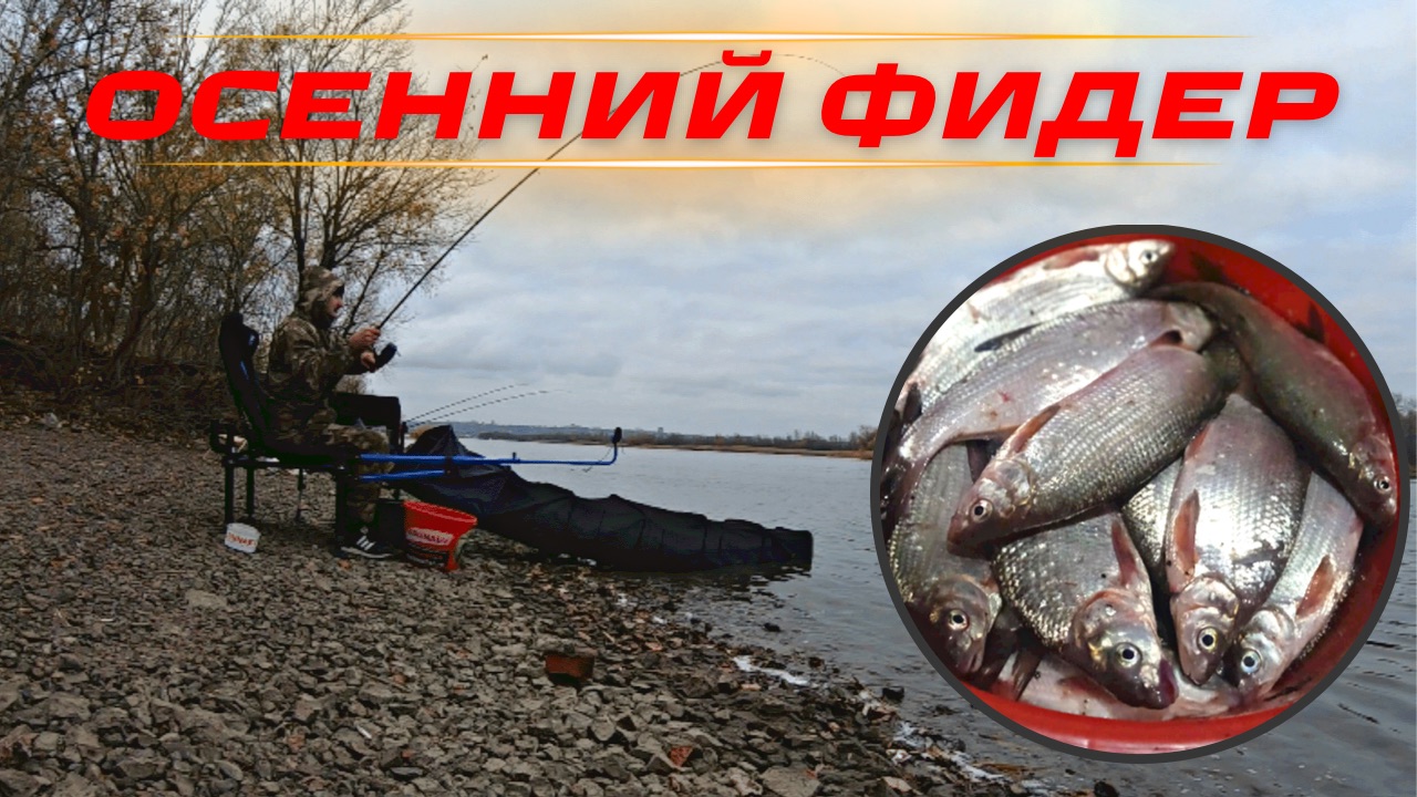 КТО КОРМИТ-ТОТ ЛОВИТ! ЛОВЛЯ ФИДЕРОМ ПОЗДНЕЙ ОСЕНЬЮ. РЫБАЛКА И ОТДЫХ НА БЕРЕГУ ДОНА. смотреть онлайн