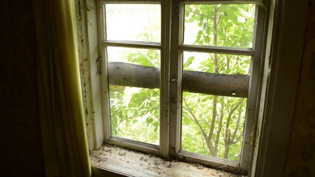 Жестоко сорвал обои со стен. Часть 5. Купили дом в деревне. смотреть онлайн