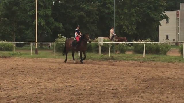 Тренировка 21.07.2016 смотреть онлайн