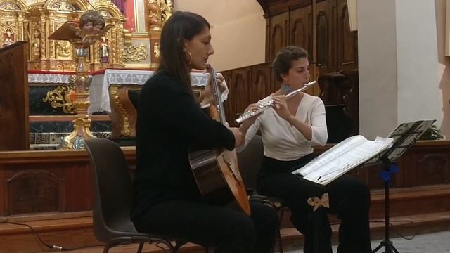 Duo Papillon - Romanesca (F. Sor) смотреть онлайн