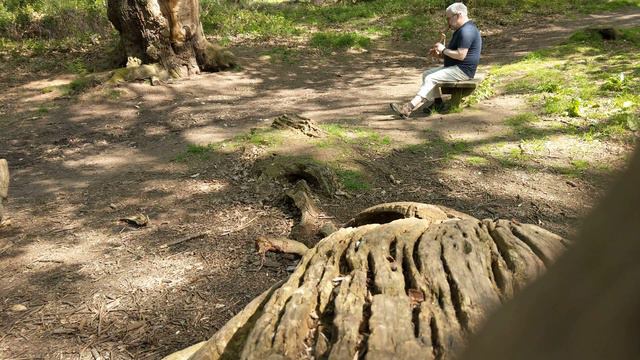 What I like to do, when I visit Sherwood Forest смотреть онлайн