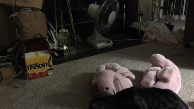 Kitty Pounce смотреть онлайн