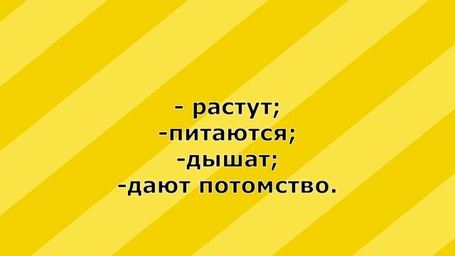 Окружающий мир 1 класс Живая и неживая природа смотреть онлайн