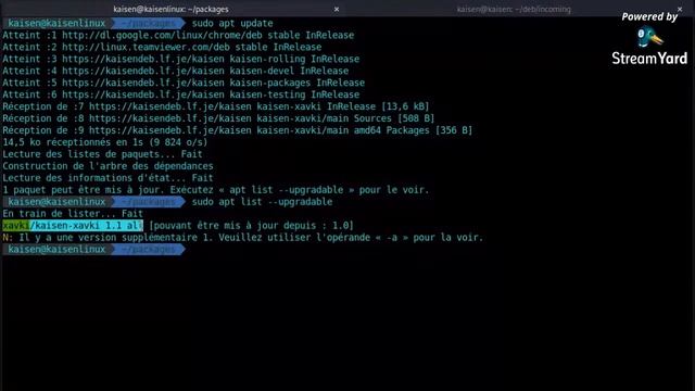 KAISEN LINUX - POUSSER UNE NOUVELLE VERSION D'UN PAQUET + SU/SUDO смотреть онлайн