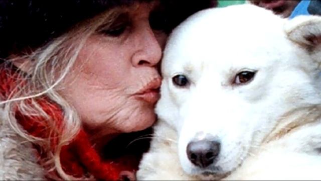 В молодости у нее не было отбоя от поклонников! Взгляни, как она выглядит сейчас смотреть онлайн