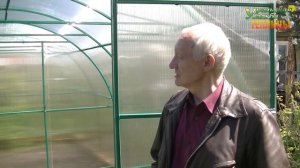АРОЧНАЯ ТЕПЛИЦА С ПЕРЕГОРОДКОЙ. РАССКАЗ СЧАСТЛИВОГО САДОВОДА О ТЕПЛИЦЕ.