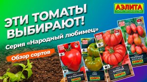 ЭТИ ТОМАТЫ ВЫБИРАЮТ! Серия семян НАРОДНЫЙ ЛЮБИМЕЦ