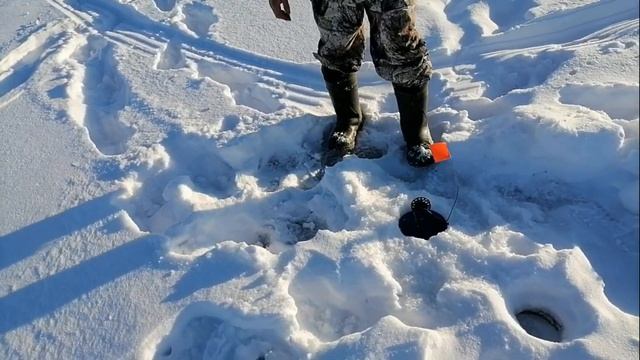 Рыбалка на домашнем водоеме! Клев щуки и подлещика! смотреть онлайн