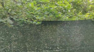 БЮДЖЕТНЫЙ ЗАБОР ИЗ ФАСАДНОЙ СЕТКИ