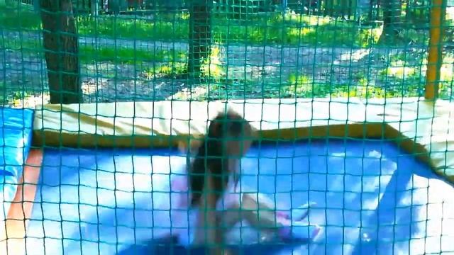 Парк Северное Тушино?Семейная Прогулка 2 часть/Весёлые прогулки смотреть онлайн