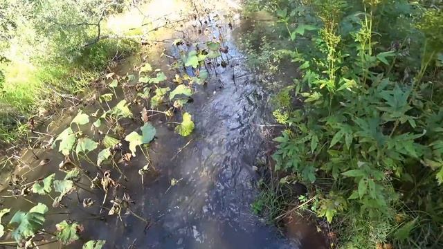 ЛОВЛЯ ХАРИУСА/ 10км по глухой/дикой тайге/Два дня РЫБАЛКИ/ Ночёвка у РЕКИ!!! смотреть онлайн