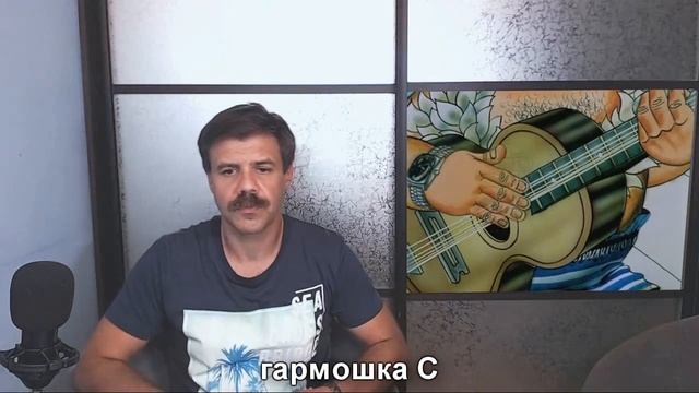 Гавайские частушки на губной гармошке смотреть онлайн
