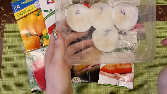 Начинаю посев перца. Какие перцы🌶️ и баклажаны🍆 посажу в сезоне 2022🌱#перцы #баклажаны #овощи