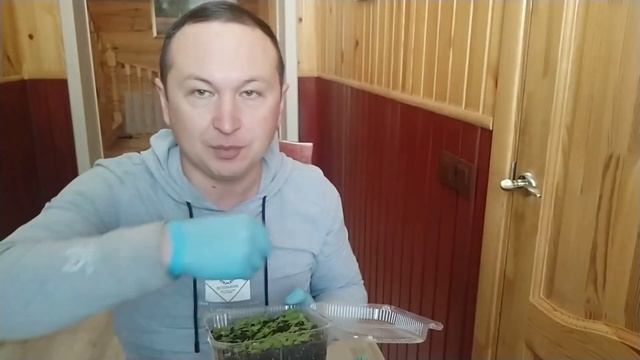 КАЛЬЦЕОЛЯРИЯ и СХИЗАНТУС. Работа над ошибками. Опыт не пропьешь!!! смотреть онлайн