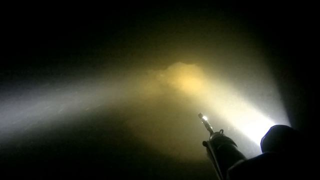 Подводная охота  на леща,  река 