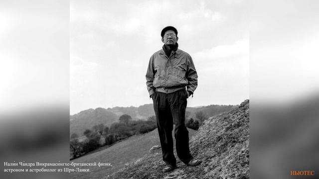 5 УНИКАЛЬНЫХ НАХОДОК , ВЗБУДОРАЖИВШИХ МИР!!! смотреть онлайн