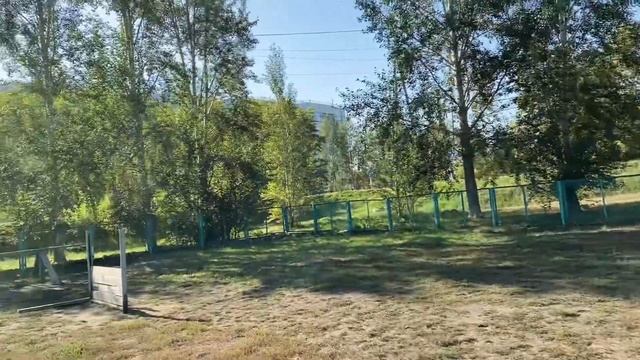 ПЕРЕЕЗД С СОБАКОЙ В ТЮМЕНЬ | Адаптация, ремонт смотреть онлайн