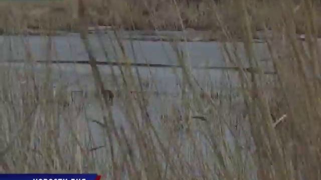 Гайский волк - нам не товарищ смотреть онлайн