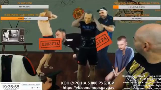 АНДРЮХА ЗАБИЛ МОПСА МУХОБОЙКОЙ смотреть онлайн