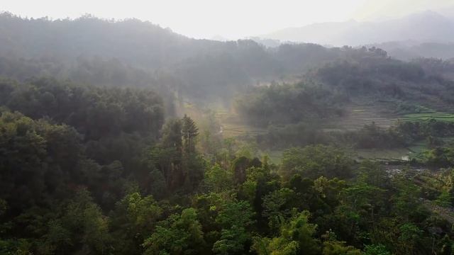 Медитация для Уверенности в себе и Расширения Возможностей | WP7 смотреть онлайн