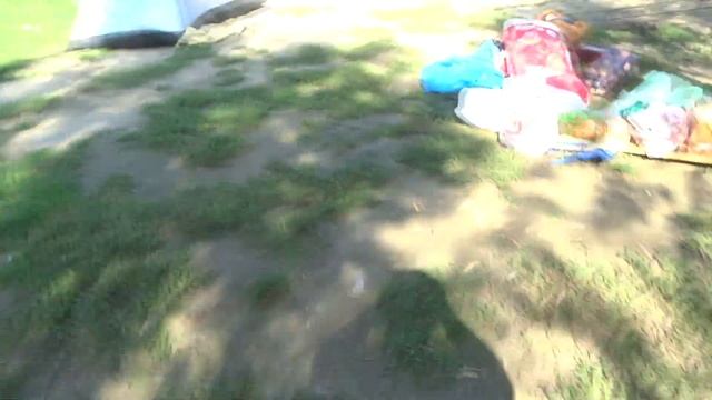 Рыбалка на Кубани 2022 осенью Американский сом на драголины смотреть онлайн