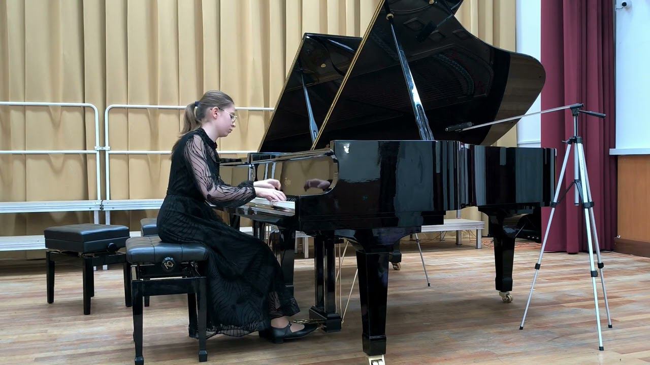 22. Э. Григ «Ноктюрн». Исп. Мелехова София смотреть онлайн