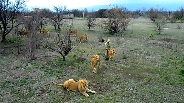 Открытие Тайгана 2014