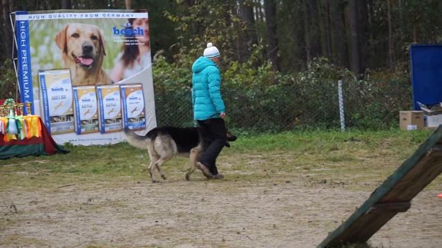 C0013 смотреть онлайн