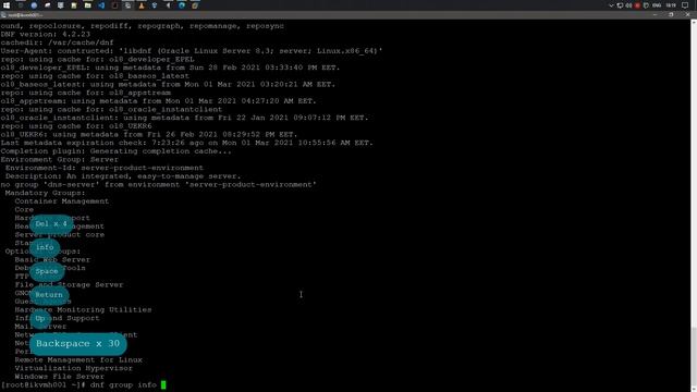 Установка GUI Utilities [ virt-manager ] в ORACLE Linux 8.3 смотреть онлайн