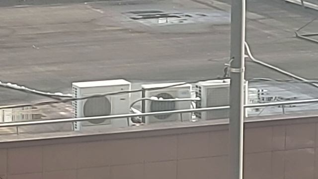 Первый признак недостатка фреона смотреть онлайн