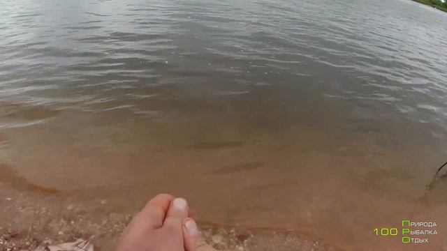 Как ловить на резинку чехонь. Как я закидываю резинку ! Лучший способ !!! смотреть онлайн