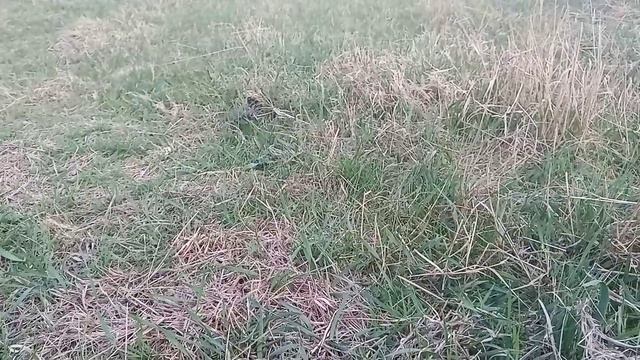 3 апреля 2024 г..mp4 смотреть онлайн