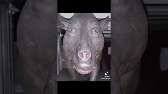 1000000656.mp4 смотреть онлайн