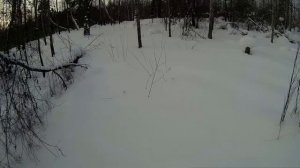 ОХОТА НА ЗАЙЦА. Рябчик с лунки