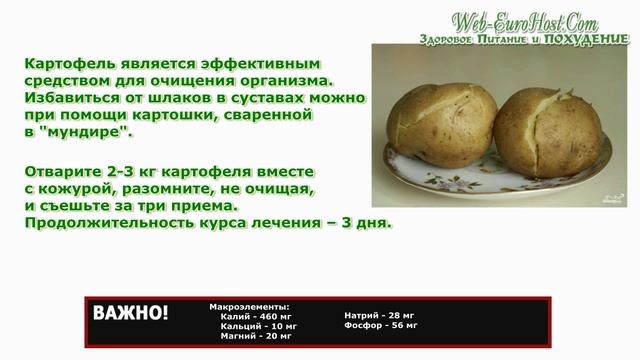 Польза и вред картофеля для похудания смотреть онлайн