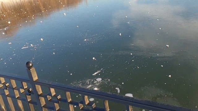 Озеро Valea Morilor, холодно, часть 4 смотреть онлайн