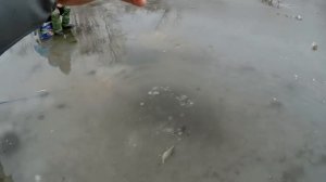 ЛОВЛЯ ОГРОМНОЙ ПЛОТВЫ со ЛЬДА! ПОСЛЕДНИЙ ЛЁД! ОПАСНАЯ РЫБАЛКА!