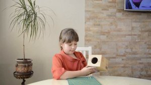 Проектор из картонной коробки. DIY!