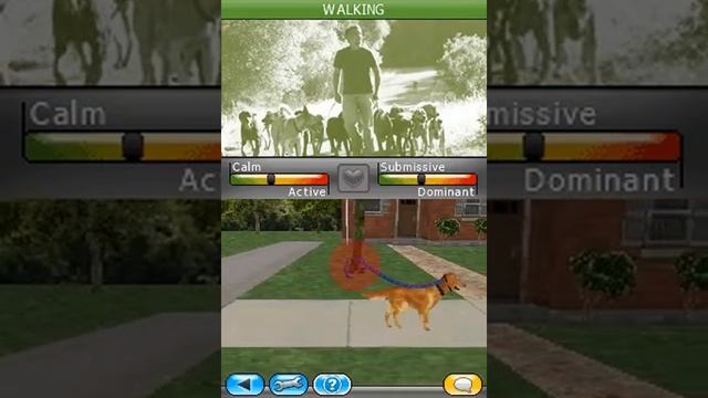 Cesar Millan's Dog Whisperer USA - Nintendo DS - Play in your Xbox One or Series! смотреть онлайн